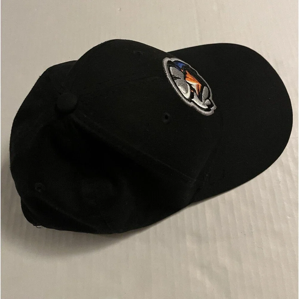 N/A aberdeen ironbirds